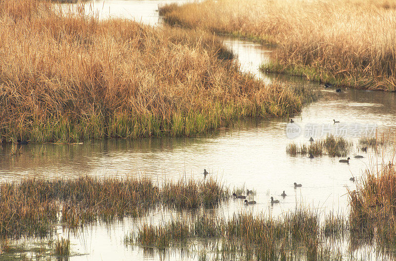 cigol Lake, Denizli，火鸡